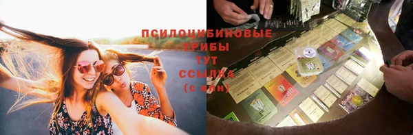 амф Арсеньев