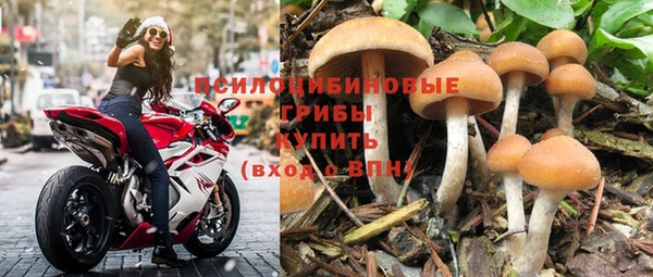 первитин Армянск