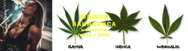 амф Арсеньев