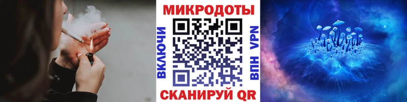 купить наркотики сайты  Обоянь  Псилоцибиновые грибы Cubensis 